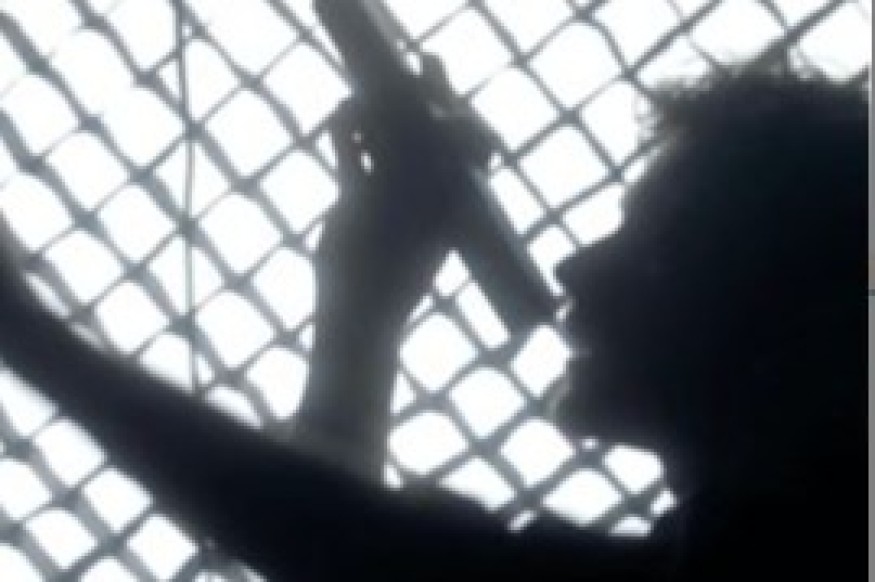 VAG MUSIC -ARABELLA interview du 3 mars 2025